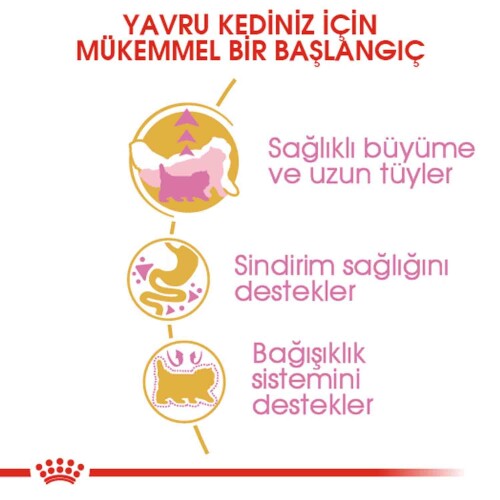 Royal Canin Kitten Persian 32 Yavru Iran Kedilerine Özel Mama 2 kg - 2