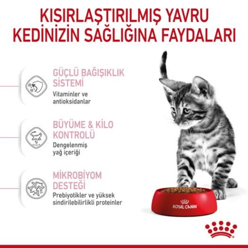 Royal Canin Kitten Sterilised Kısırlaştırılmış Yavru Kedi Maması 2 kg - 3