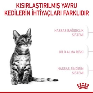 Royal Canin Kitten Sterilised Kısırlaştırılmış Yavru Kedi Maması 2 kg - 2