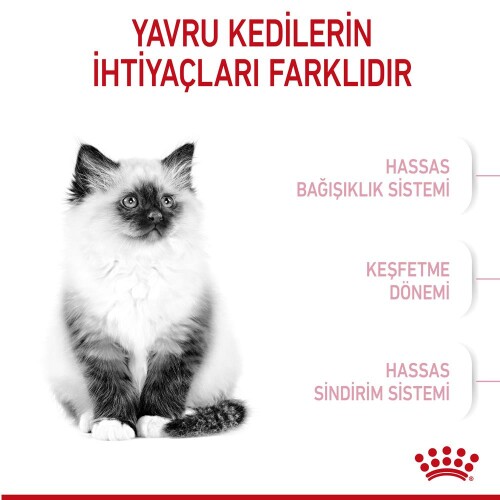 Royal Canin Kitten Yavru Kedi Maması 10 kg - 2