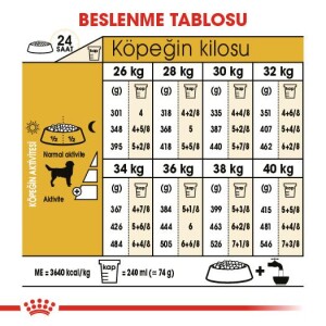 Royal Canin Labrador Retriever Yetişkin Köpek Maması 12 kg - 5