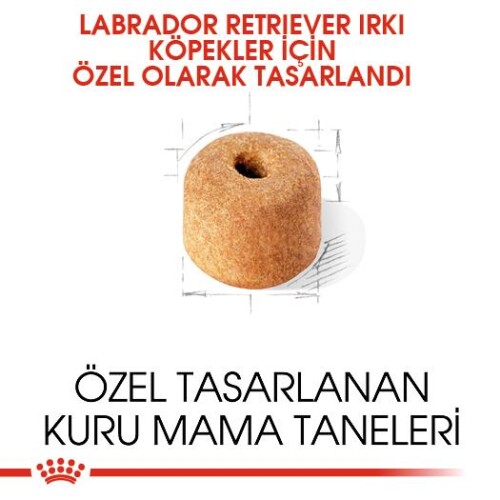 Royal Canin Labrador Retriever Yetişkin Köpek Maması 12 kg - 2