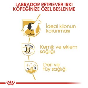 Royal Canin Labrador Retriever Yetişkin Köpek Maması 12 kg - 3