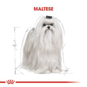Royal Canin Maltese Terrier Yetişkin Köpek Maması 1,5 kg - 3