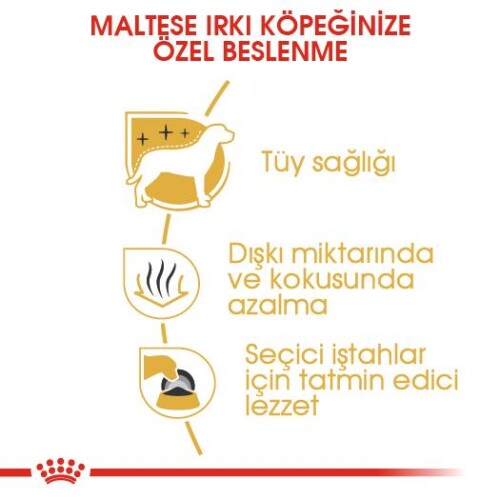 Royal Canin Maltese Terrier Adult Köpek Maması 1,5 kg - 5