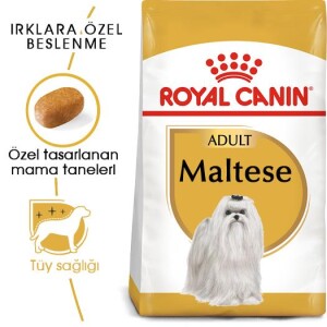 Royal Canin Maltese Terrier Adult Köpek Maması 1,5 kg - 7