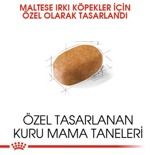 Royal Canin Maltese Terrier Yetişkin Köpek Maması 1,5 kg - 4