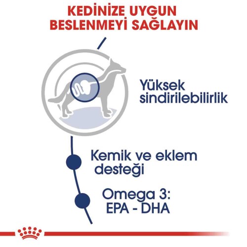 Royal Canin Maxi Adult Büyük Irk Yetişkin Köpekler İçin Parça Etli Konserve Mama 140 gr - 3