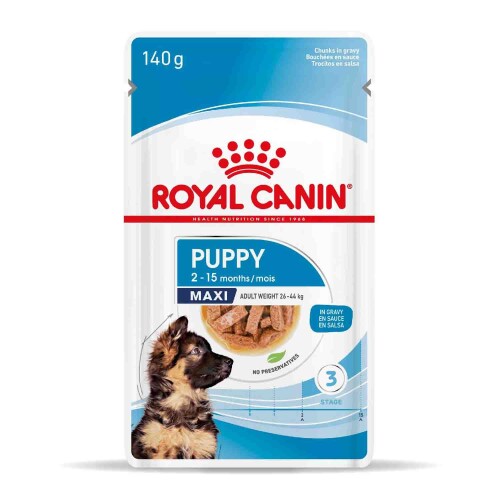 Royal Canin Maxi Puppy Büyük Irk Yavru Köpekler İçin Parça Etli Yaş Mama 140 gr X 10 adet - 1