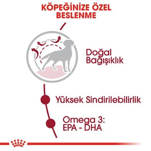 Royal Canin Medium Adult Orta Irk Yetişkin Köpek Maması 15 kg - 2