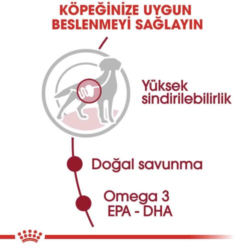 Royal Canin Medium Adult Orta Irk Yetişkin Köpekler İçin Parça Etli Yaş Mama 140 gr X 10 Adet - 5