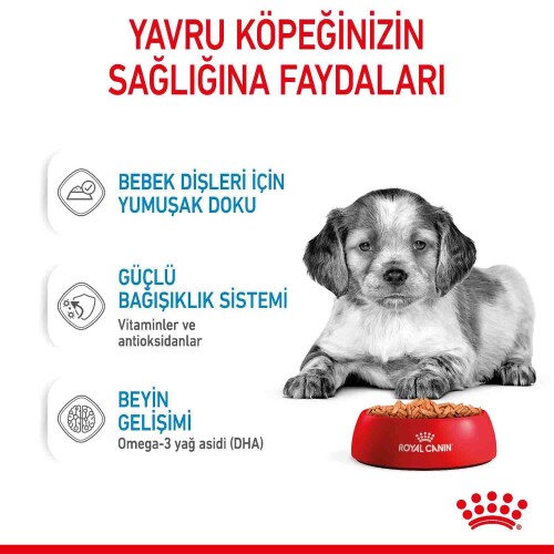 Royal Canin Medium Puppy Orta Irk Yavru Köpekler İçin Parça Etli Konserve Mama 140 gr X 10 Adet - 5