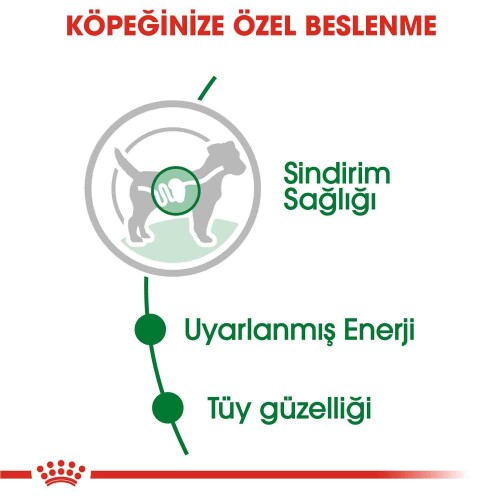 Royal Canin Mini Adult Küçük Irk Yetişkin Köpek Konservesi 85 gr - 3