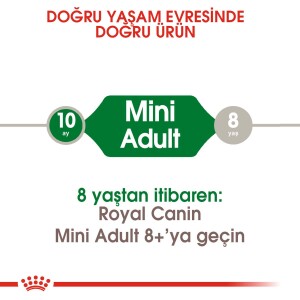 Royal Canin Mini Adult Küçük Irk Yetişkin Köpek Maması 4 kg - 2