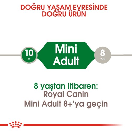 Royal Canin Mini Adult Küçük Irk Yetişkin Köpek Maması 4 kg - 2