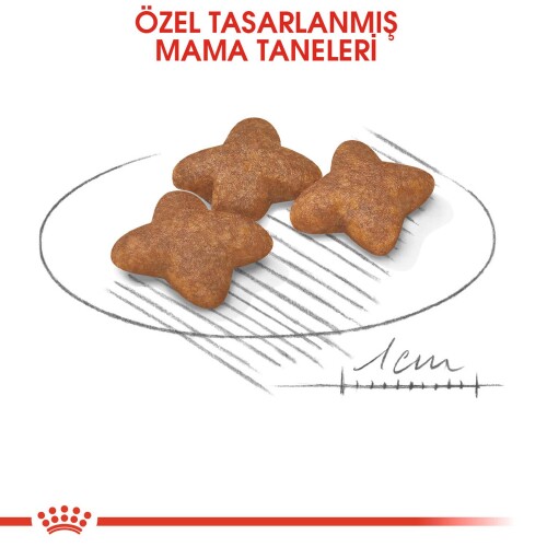 Royal Canin Mini Adult Ufak Irk Yetişkin Köpek Maması 2 kg - 3