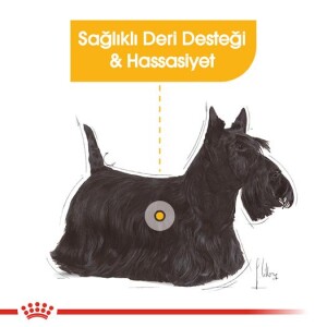Royal Canin Mini Dermacomfort Deri Hassasiyeti İçin Köpek Maması 3 kg - 2
