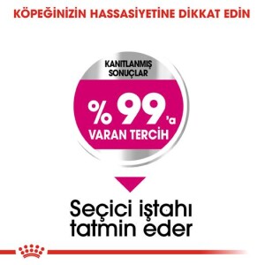 Royal Canin Mini Exigent Yetişkin Köpek Maması 3 kg - 2