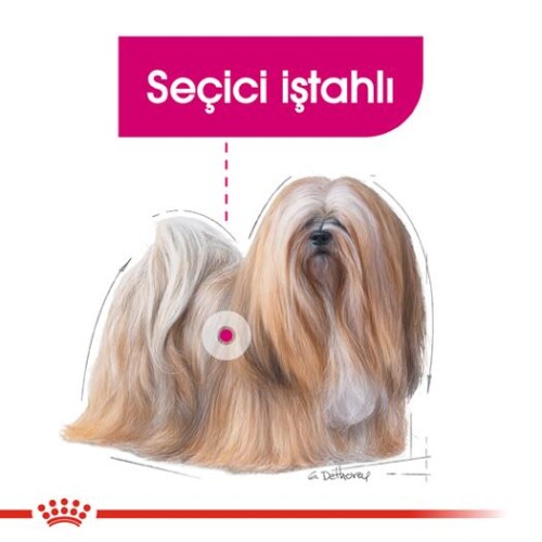 Royal Canin Mini Exigent Yetişkin Köpek Maması 3 kg - 3