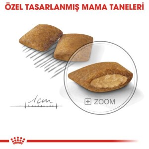 Royal Canin Mini Exigent Yetişkin Köpek Maması 3 kg - 4
