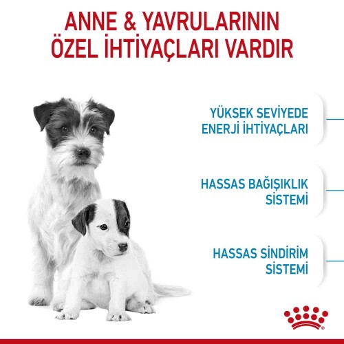 Royal Canin Mini Starter Yavru Köpek Maması 4 kg - 2