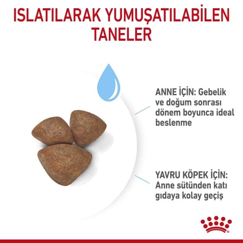 Royal Canin Mini Starter Yavru Köpek Maması 4 kg - 3