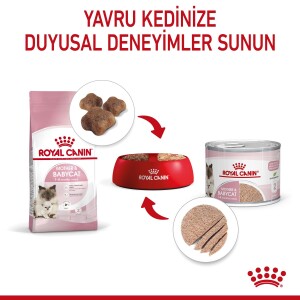 Royal Canin Mother & Baby Cat Instinctive Yavru Kedi Konservesi 195 gr - 4