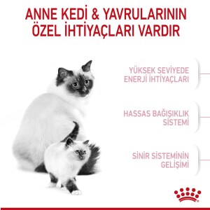 Royal Canin Mother & Baby Cat 34 Anne ve Yavru Kedi Maması 2 kg - 6