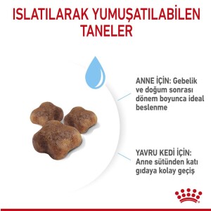 Royal Canin Mother&Baby Cat 34 Anne Ve Yavru Kedi Maması 400 Gr - 5