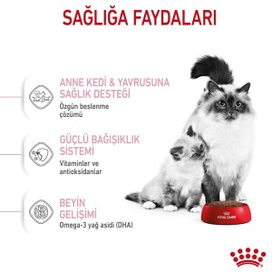 Royal Canin Mother&Baby Cat 34 Anne Ve Yavru Kedi Maması 400 Gr - 6
