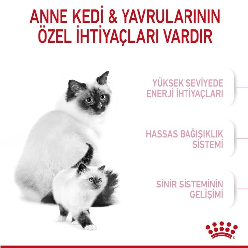 Royal Canin Mother&Baby Cat 34 Anne Ve Yavru Kedi Maması 400 Gr - 7