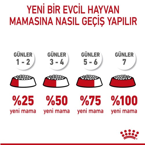 Royal Canin Mother&Baby Cat 34 Anne Ve Yavru Kedi Maması 400 Gr - 9