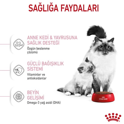 Royal Canin Mother&Baby Cat 34 Anne Ve Yavru Kedi Maması 400 Gr - 6