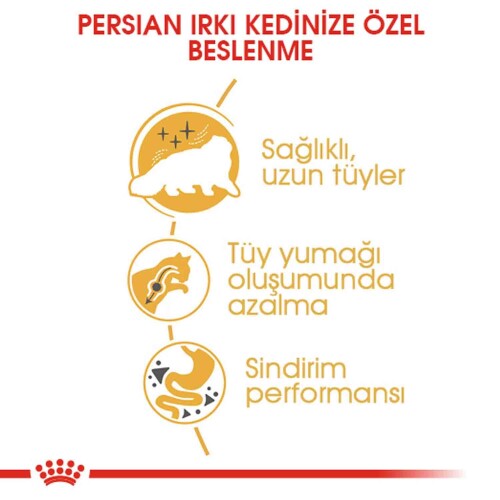 Royal Canin Persian 30 İran Kedilerine Özel Yetişkin Kedi Maması 10 kg - 3