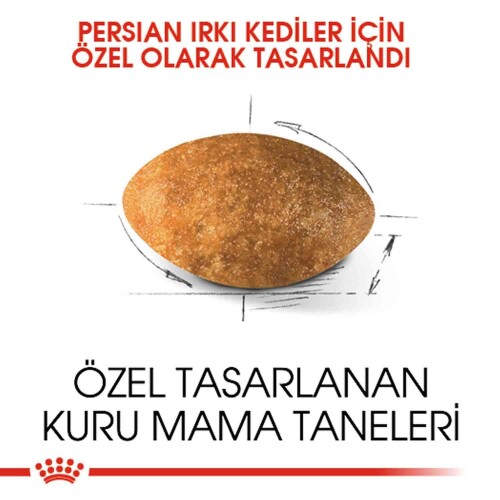 Royal Canin Persian 30 İran Kedilerine Özel Yetişkin Kedi Maması 10 kg - 2