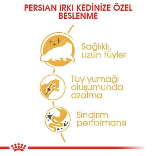 Royal Canin Persian 30 İran Kedilerine Özel Yetişkin Kedi Maması 400 gr - 3
