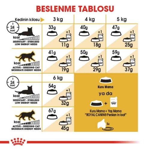 Royal Canin Persian 30 İran Kedilerine Özel Yetişkin Kedi Maması 400 gr - 4