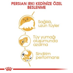 Royal Canin Persian 30 İran Kedilerine Özel Yetişkin Kedi Maması 400 gr - 3