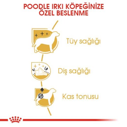 Royal Canin Poodle Yetişkin Köpek Maması 3 kg - 5