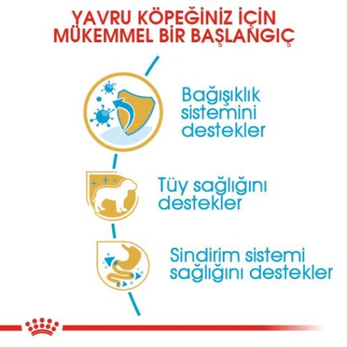 Royal Canin Poodle Yavru Köpek Maması 3 kg - 4