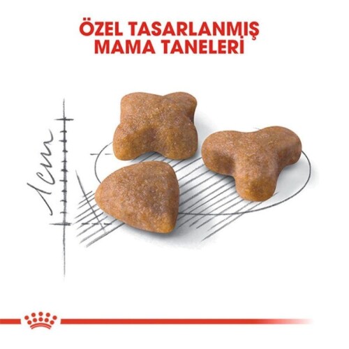 Royal Canin Sensible 33 Hassas Sindirimi Olan Kediler İçin Mama 10 kg - 3