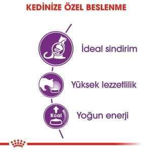 Royal Canin Sensible 33 Hassas Sindirimi Olan Kediler İçin Mama 400 gr - 2