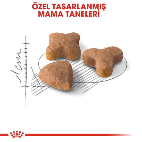 Royal Canin Sensible 33 Hassas Sindirimli Kediler İçin Kedi Maması 400 gr - 3