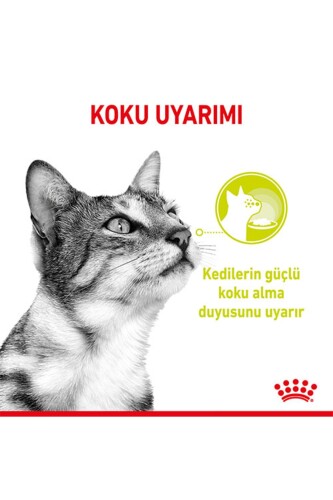 Royal Canin Sensory Smell Gravy Balıklı Yetişkin Kedi Konservesi 85 Gr - 3