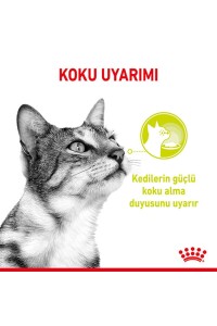 Royal Canin Sensory Smell Gravy Balıklı Yetişkin Kedi Konservesi 85 Gr X 12 Adet - 3