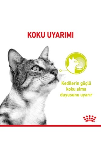 Royal Canin Sensory Smell Gravy Balıklı Yetişkin Kedi Konservesi 85 Gr X 12 Adet - 2