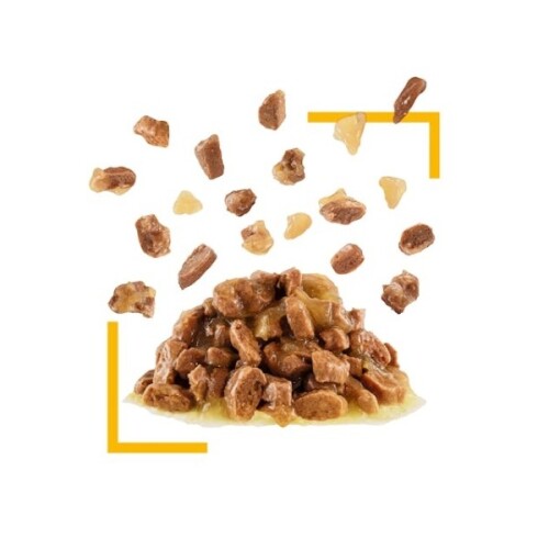 Royal Canin Sensory Taste Pouch Yetişkin Konserve Kedi Maması 85 Gr - 1
