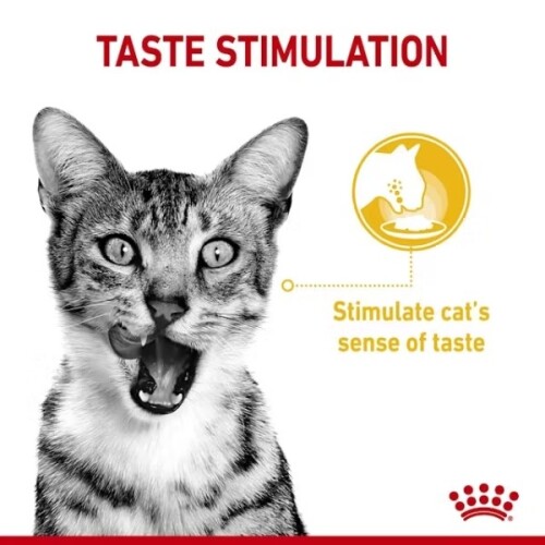 Royal Canin Sensory Taste Pouch Yetişkin Konserve Kedi Maması 85 Gr - 2