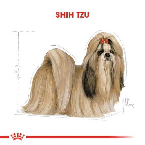 Royal Canin Shih Tzu Yetişkin Köpek Maması 1,5 kg - 2