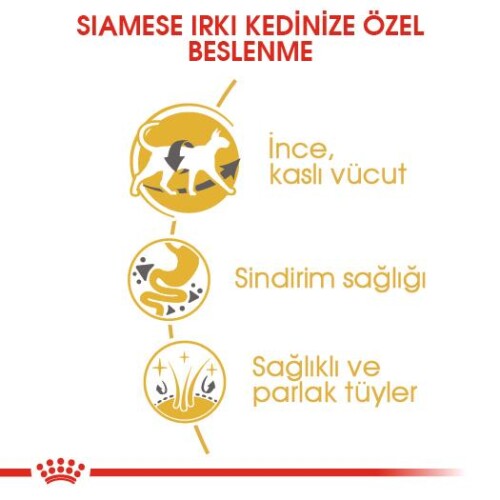 Royal Canin Siamese 38 Siyam Kedisine Özel Yetişkin Maması 2 kg - 4